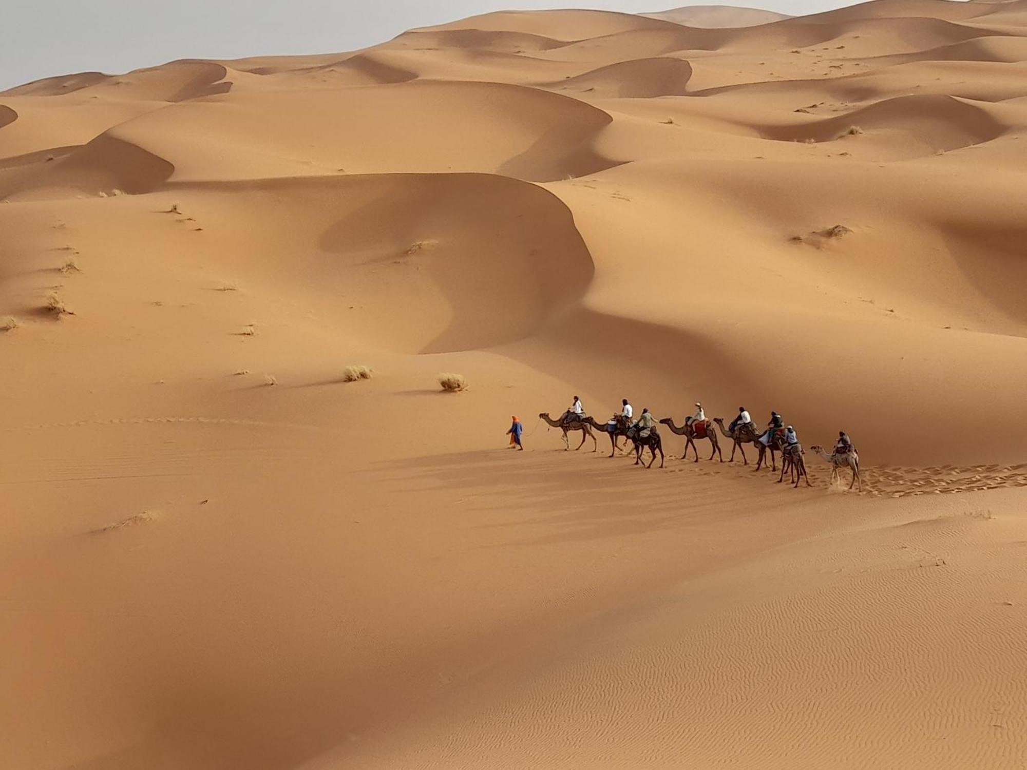 Luxury Camp Camelhouse Hotel Merzouga Exterior photo