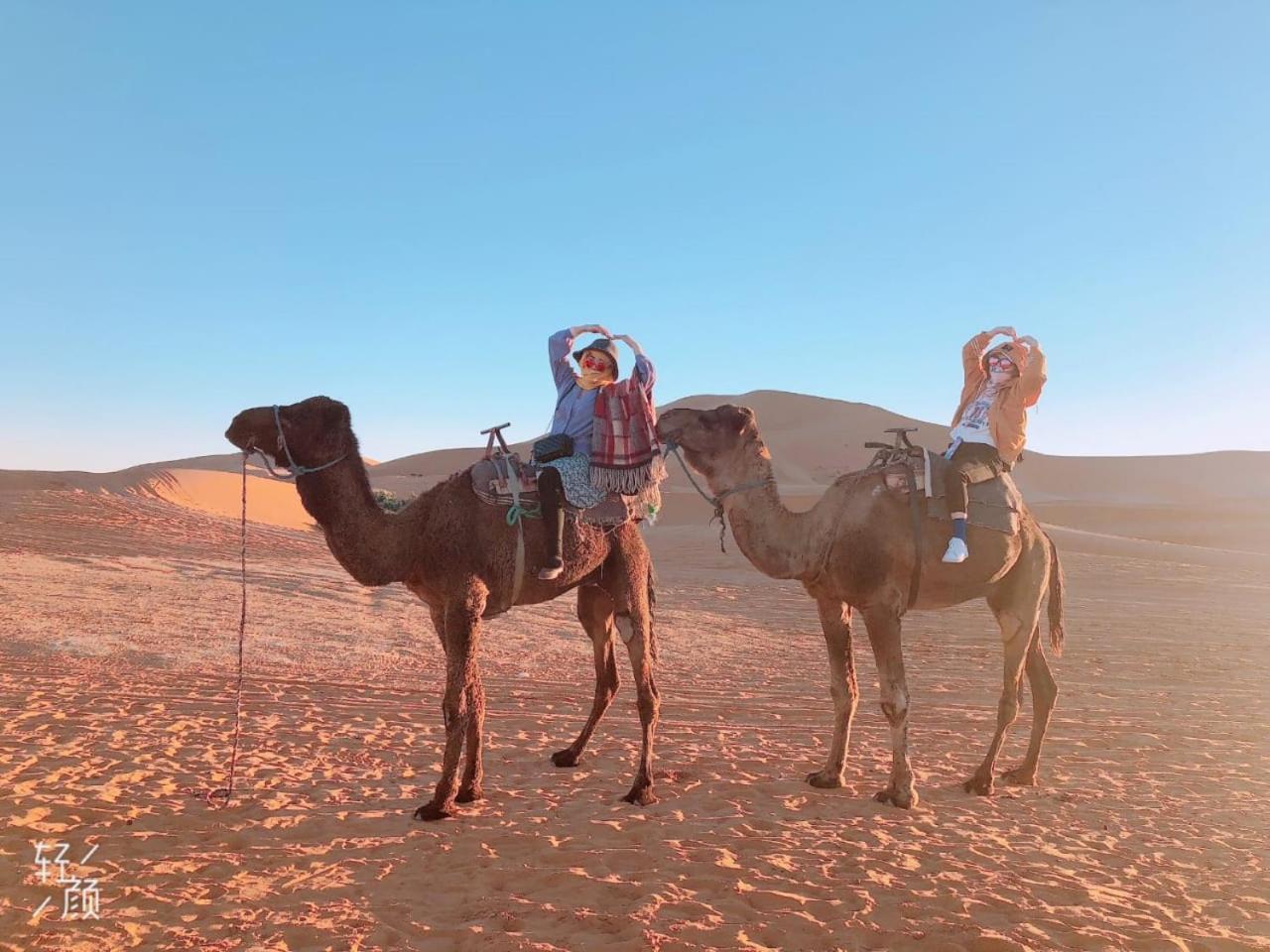 Luxury Camp Camelhouse Hotel Merzouga Exterior photo